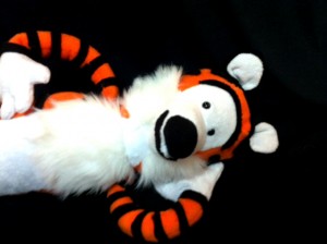 Hobbes