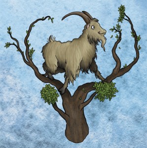 goat goat